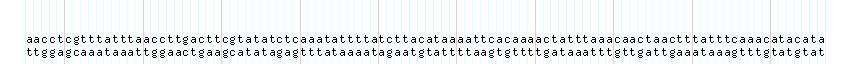 DNA/GC_Content detail