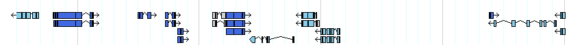 genes detail