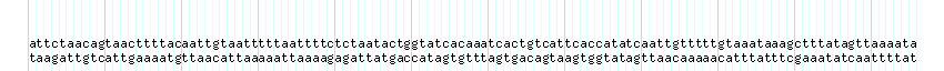 DNA/GC_Content detail