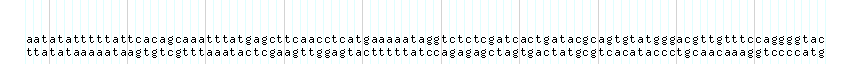 DNA/GC_Content detail