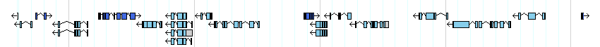 genes detail