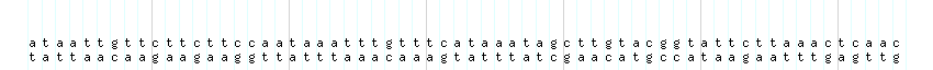 DNA/GC_Content detail