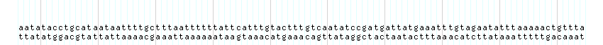 DNA/GC_Content detail