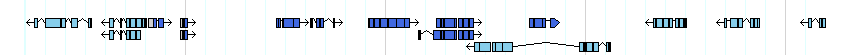 genes detail