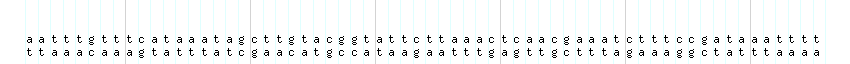 DNA/GC_Content detail