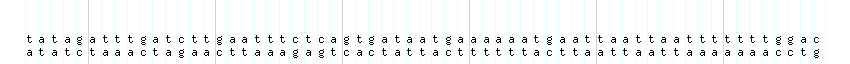 DNA/GC_Content detail