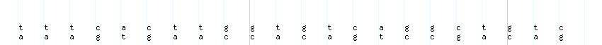 DNA/GC_Content detail
