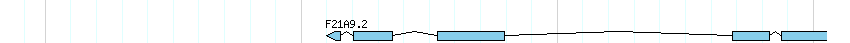 genes detail