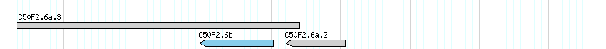 genes detail