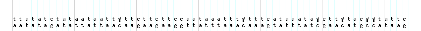 DNA/GC_Content detail