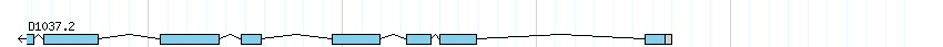 genes detail