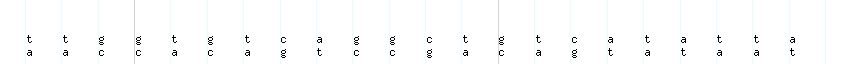 DNA/GC_Content detail