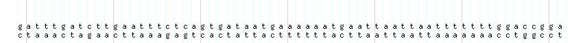 DNA/GC_Content detail