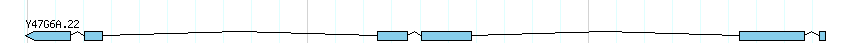 genes detail