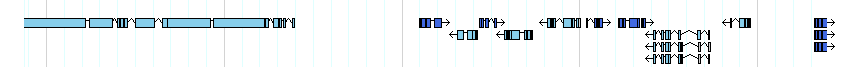 genes detail