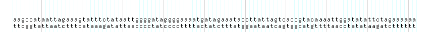 DNA/GC_Content detail