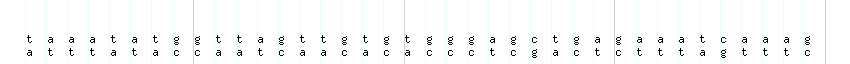 DNA/GC_Content detail