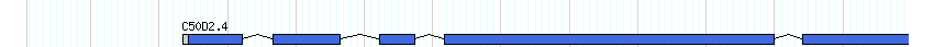 genes detail