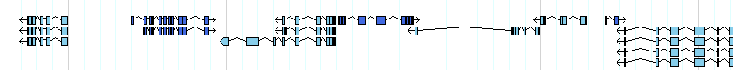 genes detail