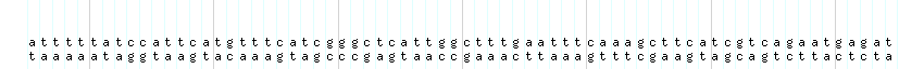 DNA/GC_Content detail