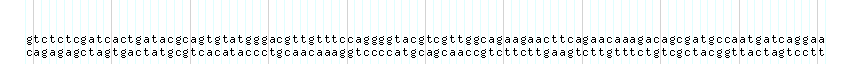 DNA/GC_Content detail