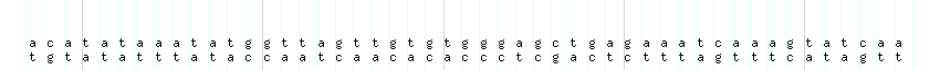 DNA/GC_Content detail