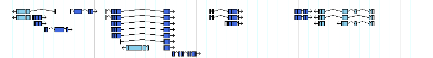 genes detail