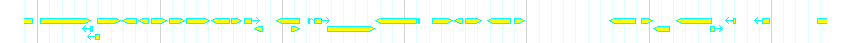 Genes detail