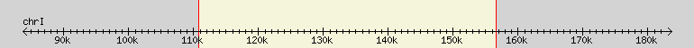 __scale__ region