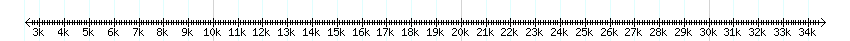 __scale__ detail