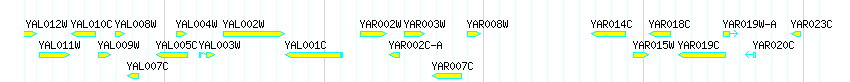 Genes detail