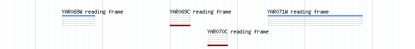 CDS detail
