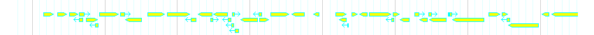 Genes detail