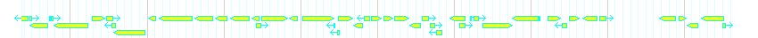 Genes detail