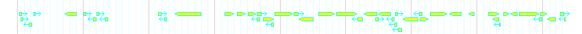 Genes detail
