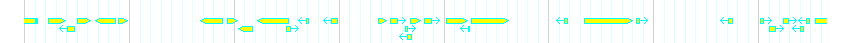Genes detail