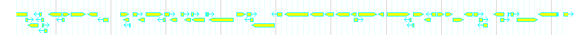 Genes detail