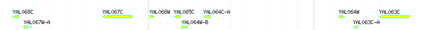 Genes detail