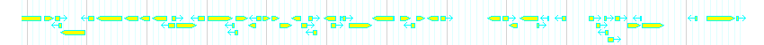Genes detail