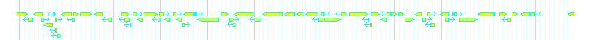 Genes detail
