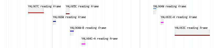 CDS detail