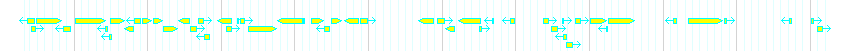 Genes detail