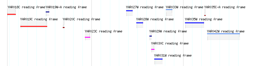 CDS detail
