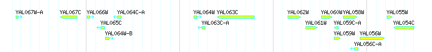 Genes detail