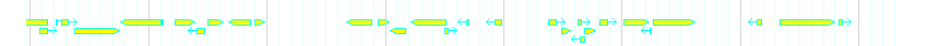 Genes detail