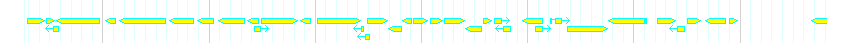 Genes detail