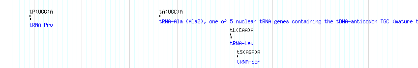 tRNAs detail