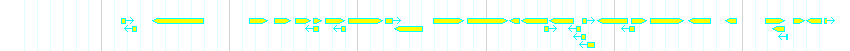 Genes detail