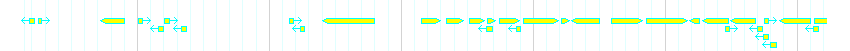 Genes detail