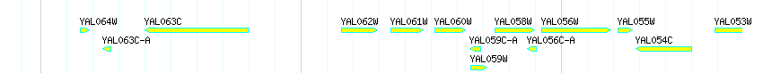 Genes detail